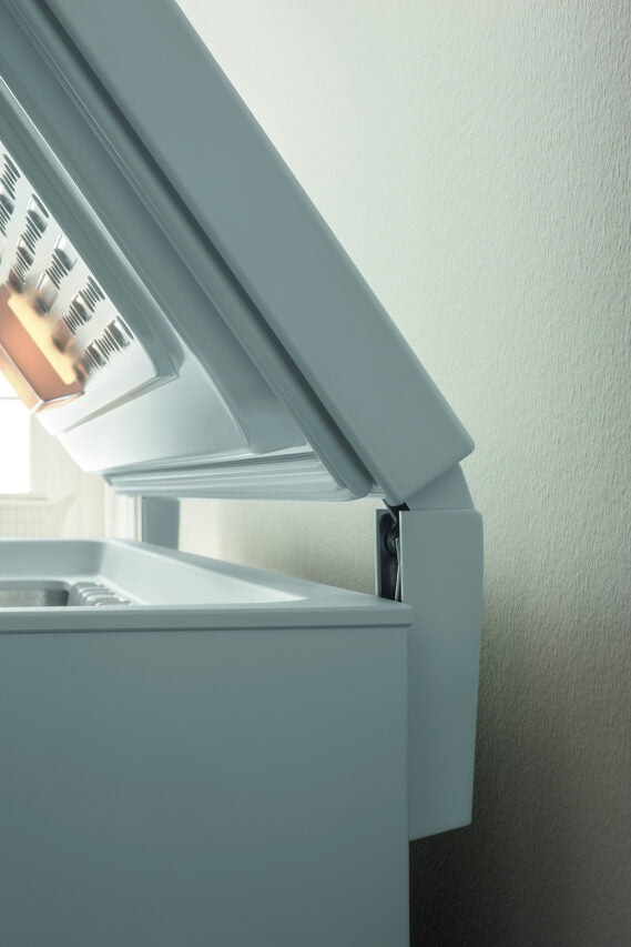 Indesit OS 2A 300 H Congelatore a Pozzetto Libera installazione 315 L E Bianco