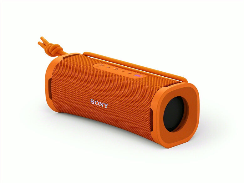 Casse portatili Sony