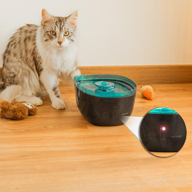 Cecotec Pumba 2200 Refresh Fontana automatica per animali domestici con capacità di 2 litri