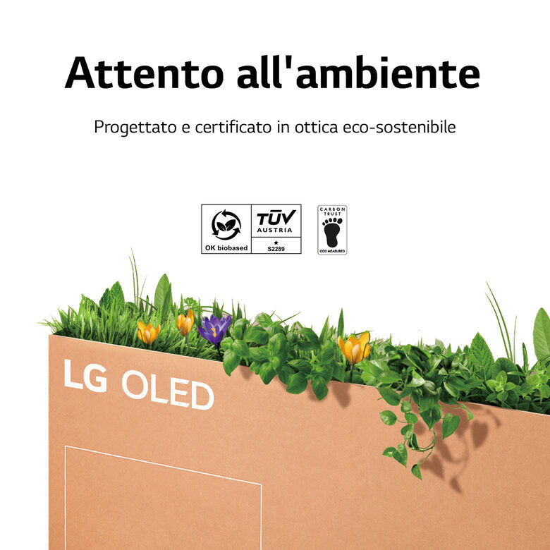 LG OLED 4K 65'' Serie CS6 OLED65CS6LA Smart TV