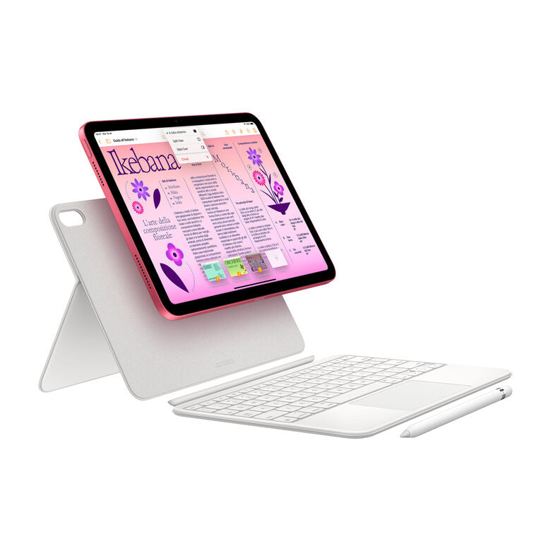Apple iPad 10.9-pollici Wi-Fi 256GB - Rosa