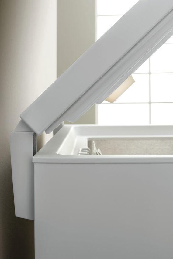 Ignis CEI250 Congelatore a Pozzetto Libera installazione F