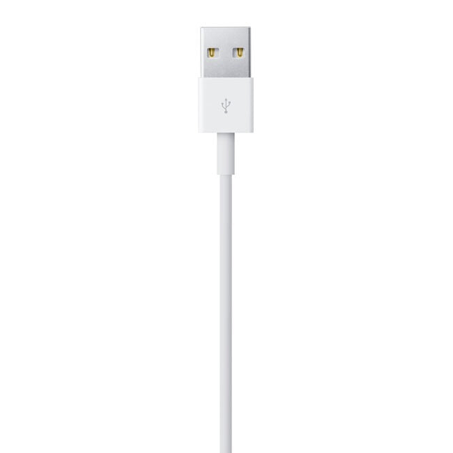 Apple Cavo da lightning a USB 2mt