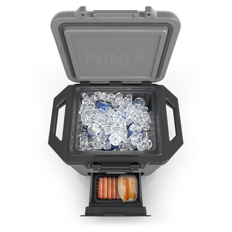 Ninja FB131EUGY borsa frigo 28 L Grigio