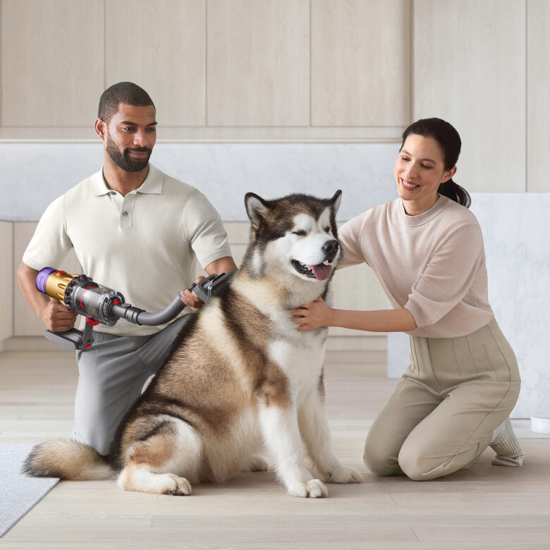 Dyson 972205-01 accessorio e ricambio per aspirapolvere Kit di accessori Aspirapolvere portatile