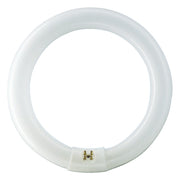 Philips TL-E Super 80 928026384074 lampada fluorescente 32 W G10Q Bianco freddo