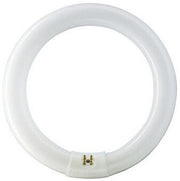 Philips 22 W G10q lampada fluorescente Bianco neutro