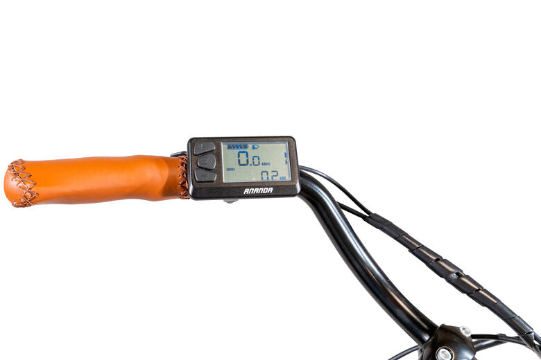 EMG E-bike Vintage con telaio in alluminio 19", ruote 28", motore centrale 250W Ananda, batteria 13AH e cambio Shimano