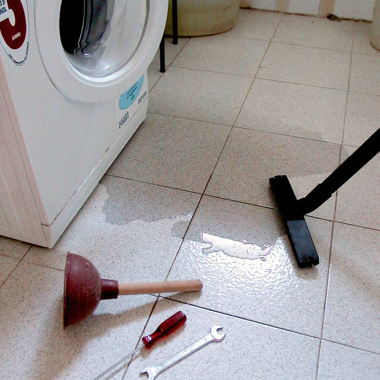 Lavorwash Ashley Kombo Bidone Aspiratutto 28 L Nero, Acciaio inossidabile, Giallo