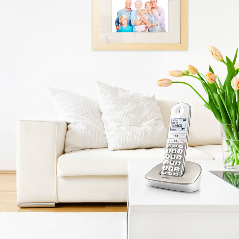Philips Telefono cordless XL4901S/23