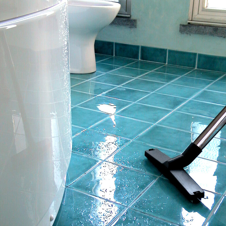 Lavorwash Freddy Bidone Aspiratutto Nero, Giallo