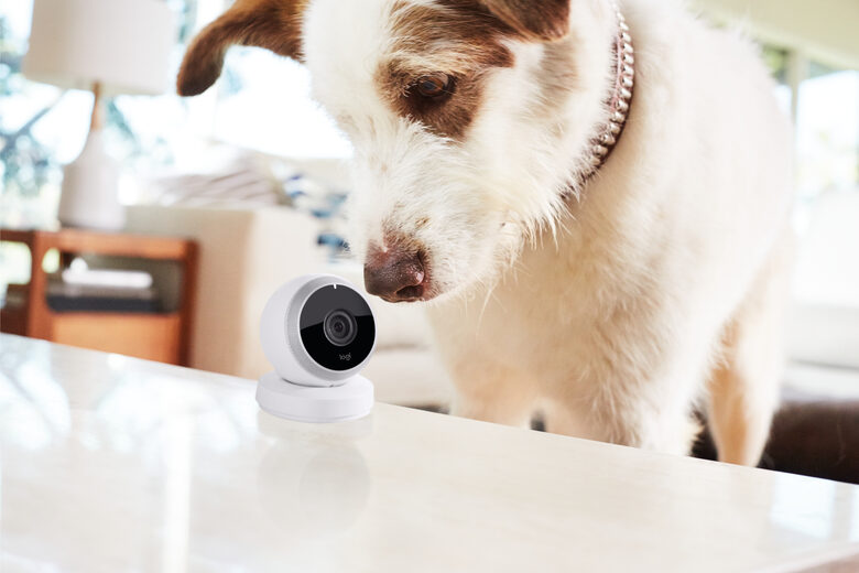 Logitech Circle Telecamera di sicurezza IP Interno Sferico Pavimento