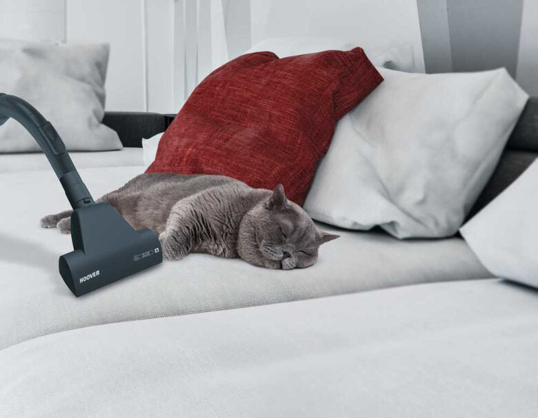 Hoover Breeze BR71 BR30 2 L A cilindro Secco 700 W Senza sacchetto