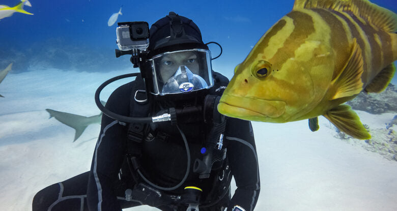 GoPro DGWAADIV-001 custodia per fotocamera Valigetta rigida Nero