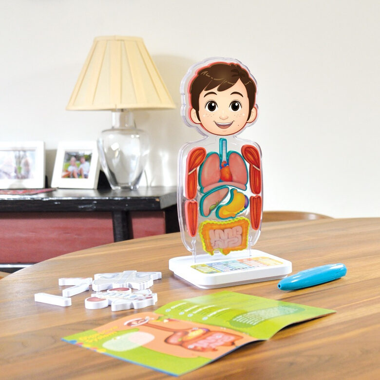 Oregon Scientific Smart Anatomy: Interactive Human Body