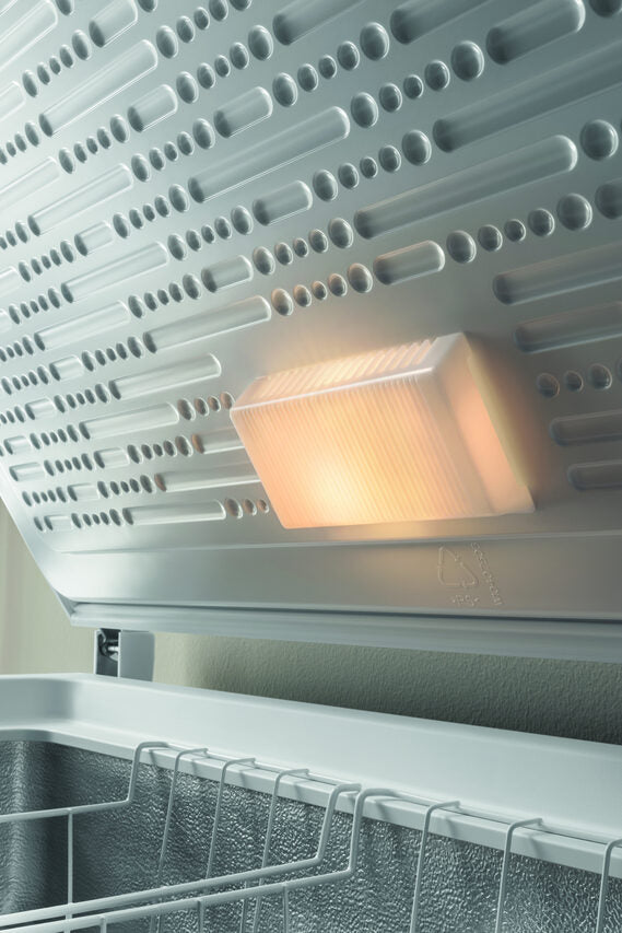 Indesit OS 1A 450 H Congelatore a Pozzetto Libera installazione F