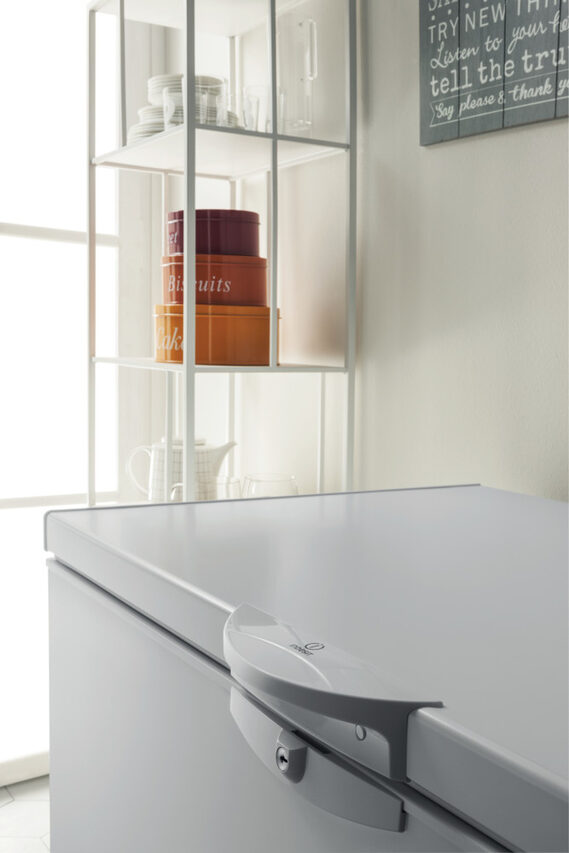 Indesit OS 1A 200 H 2 Congelatore a Pozzetto Libera installazione F