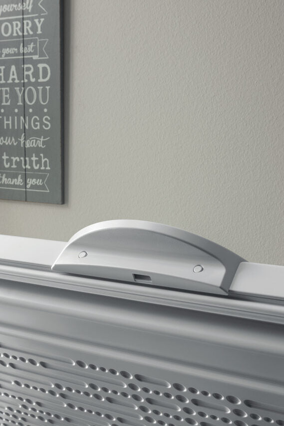 Indesit OS 1A 200 H 2 Congelatore a Pozzetto Libera installazione F