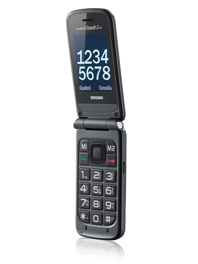 Brondi Amico Grande 2 LCD 6,1 cm (2.4") Titanio Telefono cellulare basico