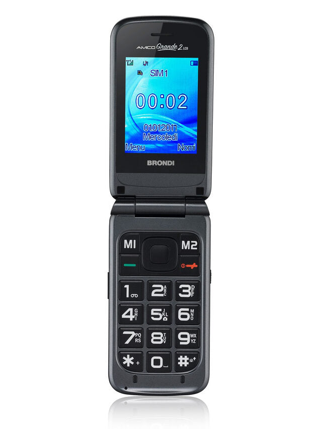 Brondi Amico Grande 2 LCD 6,1 cm (2.4") Titanio Telefono cellulare basico