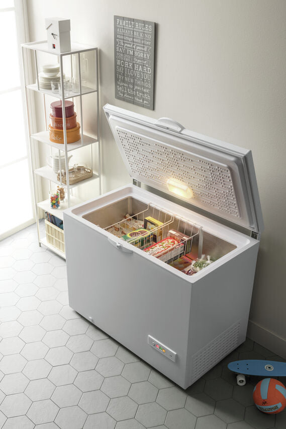 Indesit OS 1A 250 2 Congelatore a Pozzetto Libera installazione F