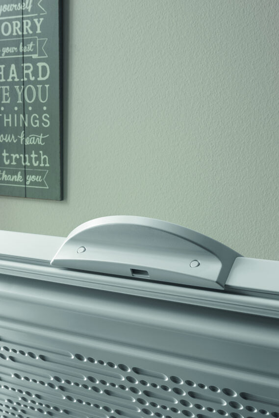 Indesit OS 1A 250 2 Congelatore a Pozzetto Libera installazione F
