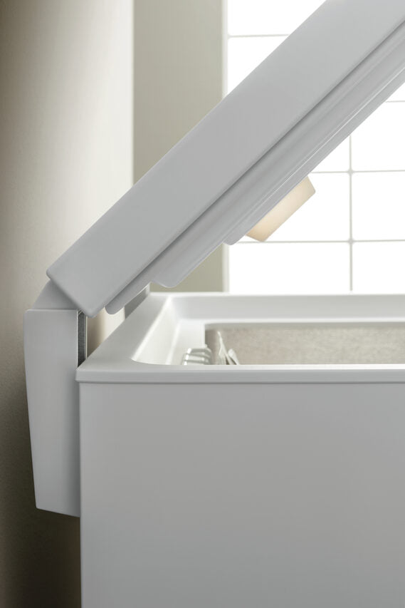 Indesit OS 1A 250 2 Congelatore a Pozzetto Libera installazione F