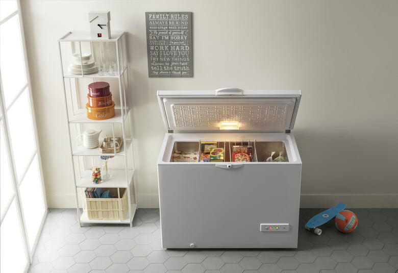 Indesit OS 1A 250 2 Congelatore a Pozzetto Libera installazione F