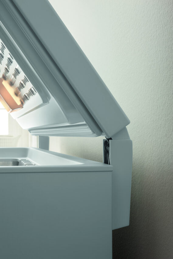 Indesit OS 1A 250 2 Congelatore a Pozzetto Libera installazione F