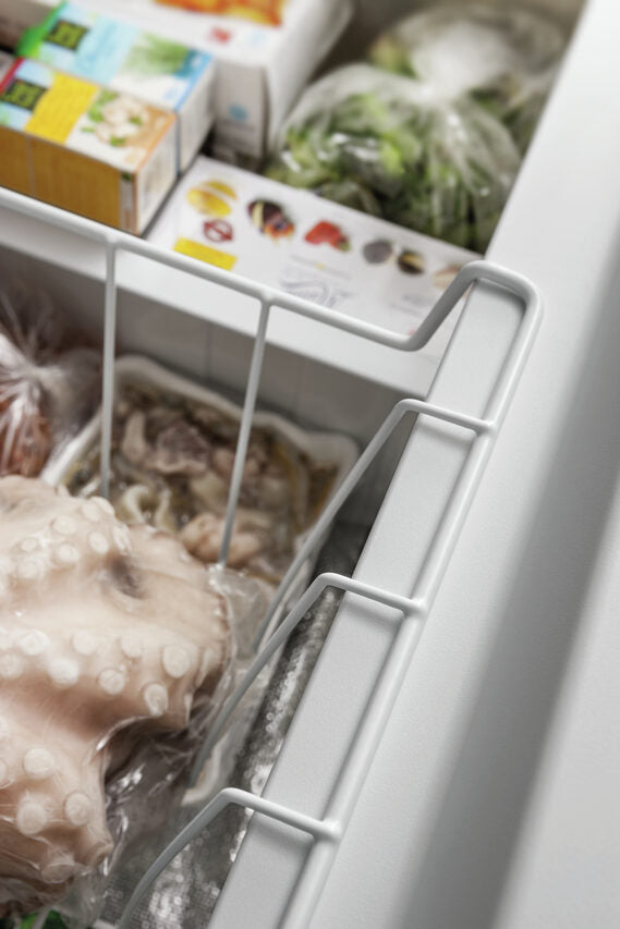 Indesit OS 1A 250 2 Congelatore a Pozzetto Libera installazione F