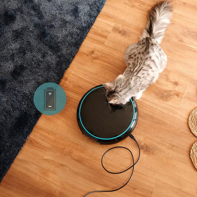 Cecotec Pumba 1600 Purrfect Meal Distributore automatico di cibo per animali con 4 sezioni indipendenti