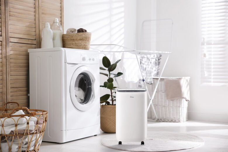 Ardes Deumidificatore Sekko 12L/24h