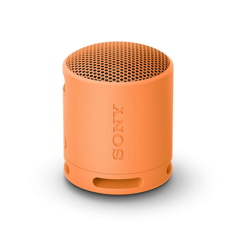 Sony SRS-XB100 - Speaker Wireless Bluetooth, portatile, leggero, compatto, da esterno, da viaggio, resistente IP67 impermeabile e antipolvere, batteria da 16 ore, cinturino versatile, chiama