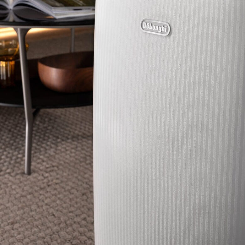 De’Longhi Tasciugo DEP210 Deumidificatore 10 L/24 h con Tanica da 4 L, Filtro Antipolvere e Carboni Attivi