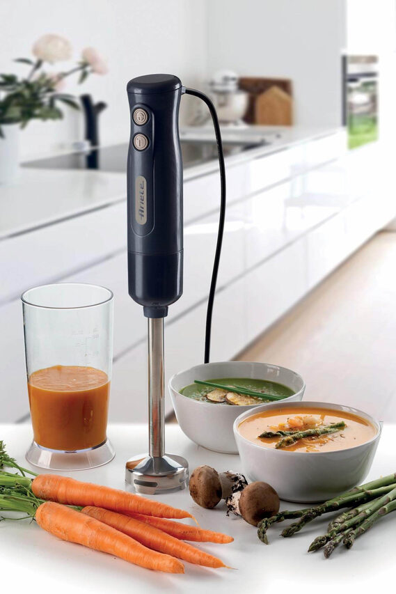 Ariete 0601/00 0,6 L Frullatore ad immersione 700 W Grigio