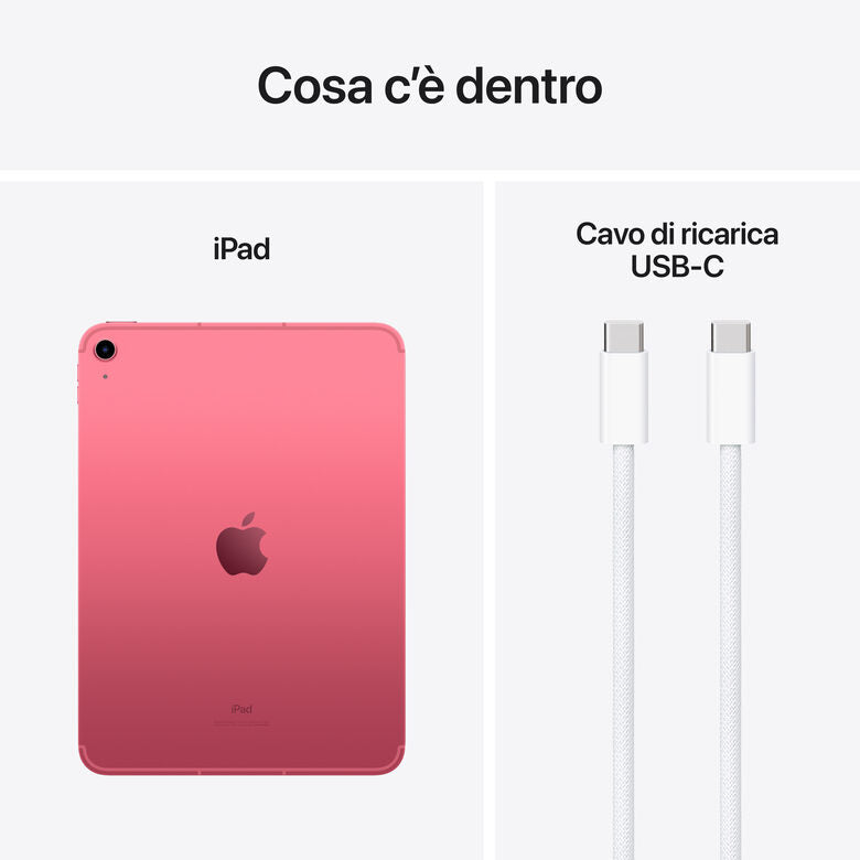 Apple iPad (10^gen.) 10.9 Wi-Fi + Cellular 64GB - Rosa