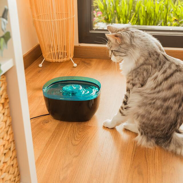 Cecotec Pumba 2200 Refresh Fontana automatica per animali domestici con capacità di 2 litri