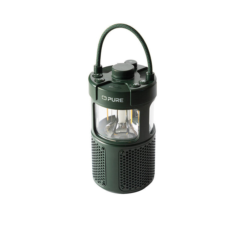 Pure 252584 altoparlante portatile e per feste Verde 20 W