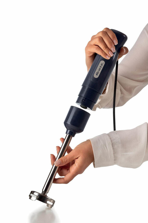 Ariete 0601/00 0,6 L Frullatore ad immersione 700 W Grigio