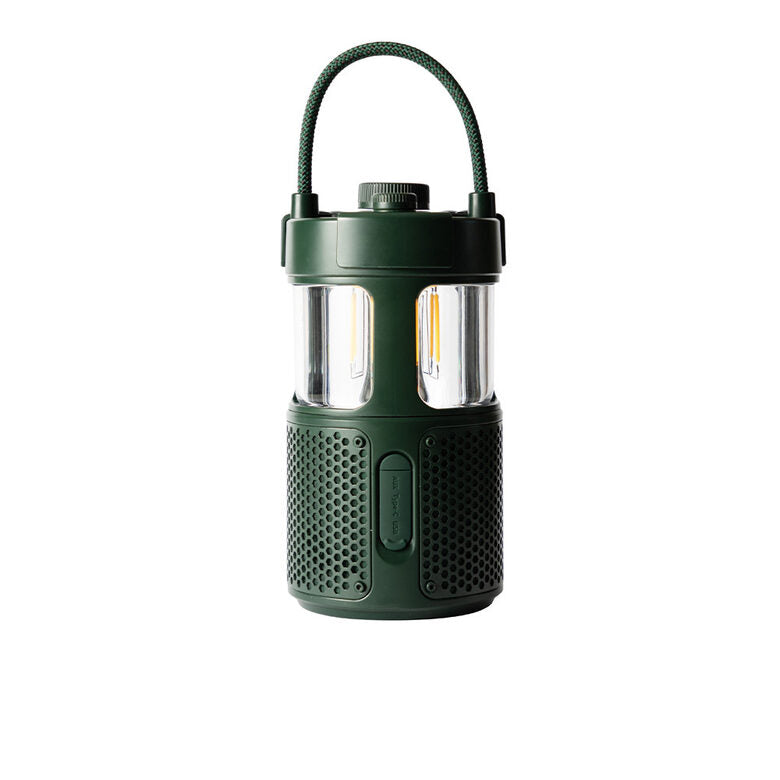 Pure 252584 altoparlante portatile e per feste Verde 20 W