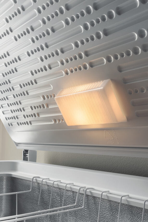 Indesit OS 1A 300 H 2 Congelatore a Pozzetto Libera installazione F