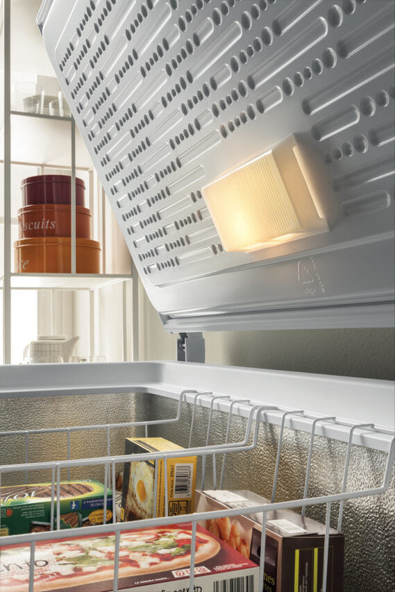 Indesit OS 1A 300 H 2 Congelatore a Pozzetto Libera installazione F