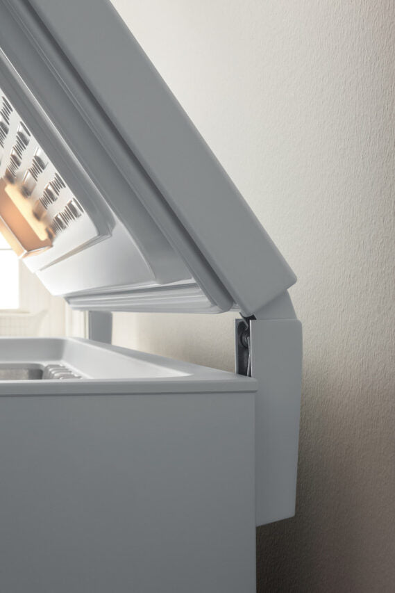 Indesit OS 1A 300 H 2 Congelatore a Pozzetto Libera installazione F
