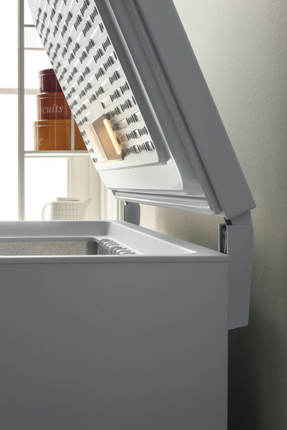 Indesit OS 1A 300 H 2 Congelatore a Pozzetto Libera installazione F
