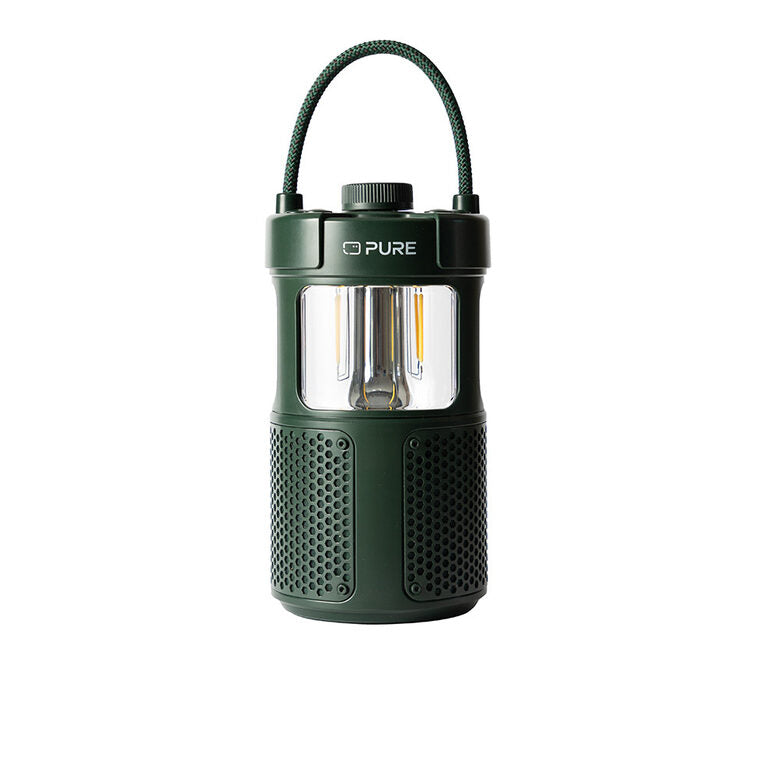 Pure 252584 altoparlante portatile e per feste Verde 20 W