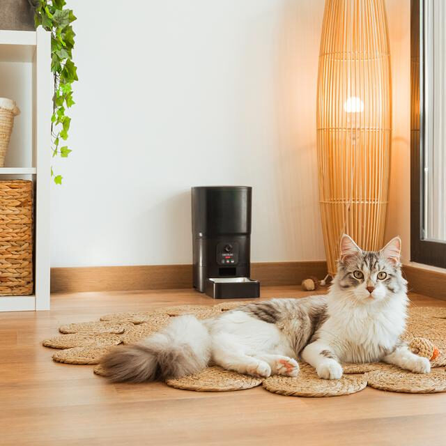 Cecotec Pumba 6000 Purrfect Meal Smart Ciotola Wi-Fi automatica per animali domestici da 6 litri con controllo porzioni