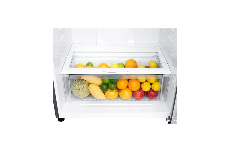 LG GTF744PZPED Frigorifero Combinato A Libera Installazione, Wi-Fi, Dispenser Acqua, Classe E, Inox