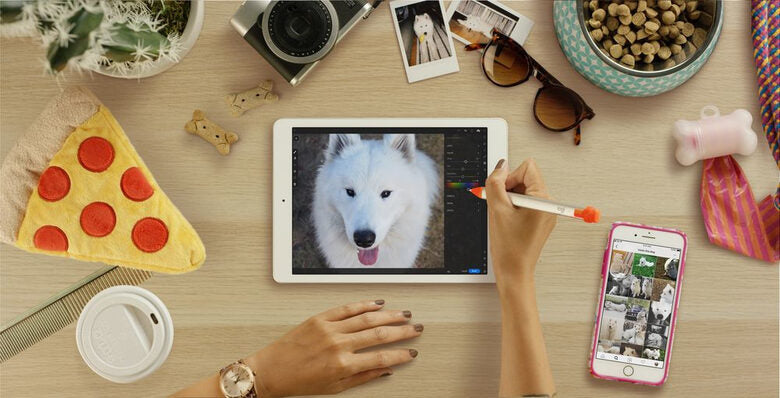 Logitech Crayon penna per PDA 20 g Arancione, Bianco