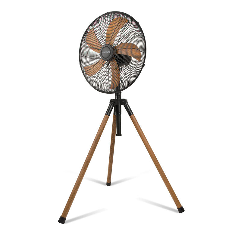 G3 Ferrari Trivento Legno