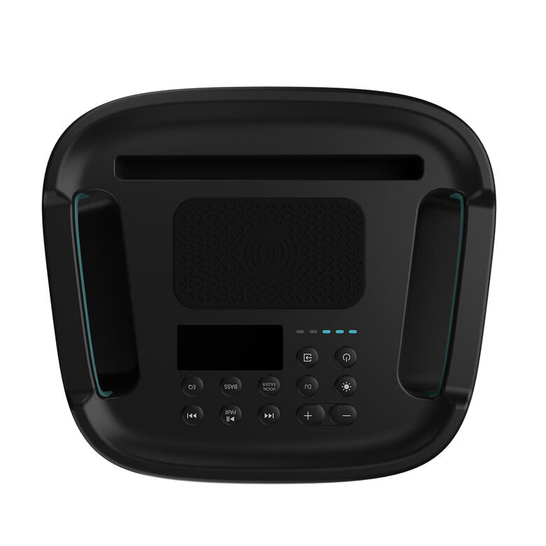 Hisense HP110 altoparlante portatile e per feste Nero 300 W